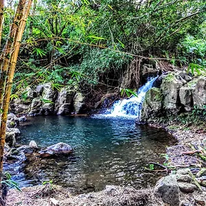 https://hamakua-house-and-camping-cabanas.hotelsinhawaii.org